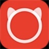 橘猫盒子app